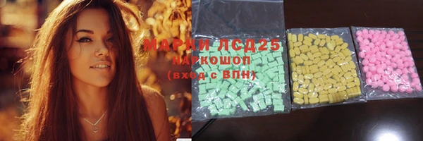 дживик Корсаков