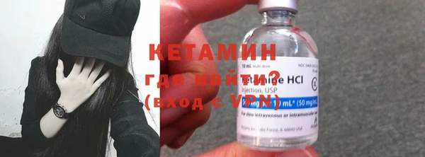 шишки Анива