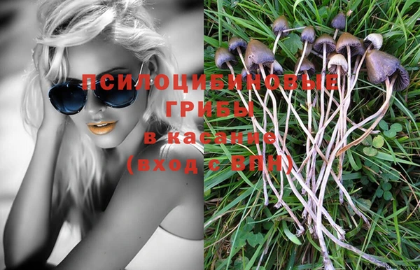 герыч Анжеро-Судженск