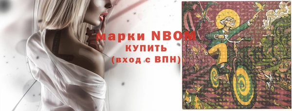 твердый Козельск