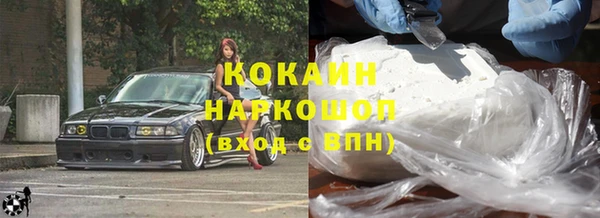 дживик Корсаков
