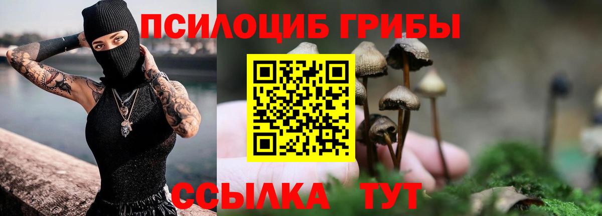 Клинцы  Галлюциногенные грибы Psilocybe  Вход с VPN 